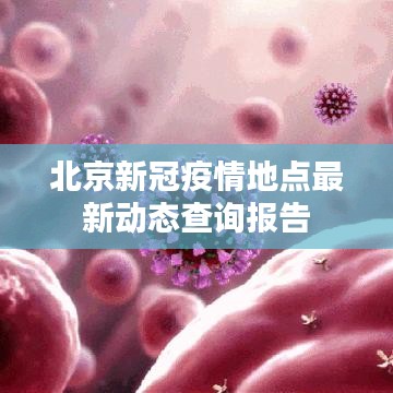 北京新冠疫情地点最新动态查询报告