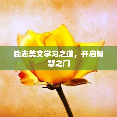励志美文学习之道，开启智慧之门