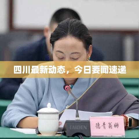 四川最新动态，今日要闻速递