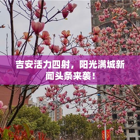 吉安活力四射，阳光满城新闻头条来袭！