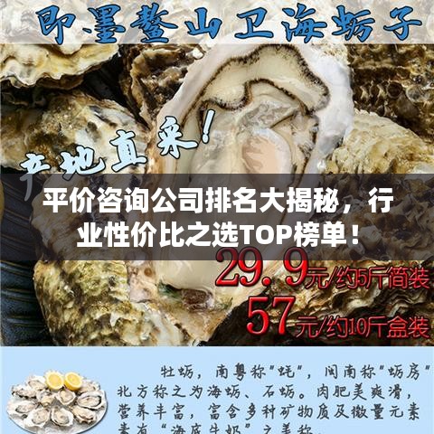 平价咨询公司排名大揭秘，行业性价比之选TOP榜单！