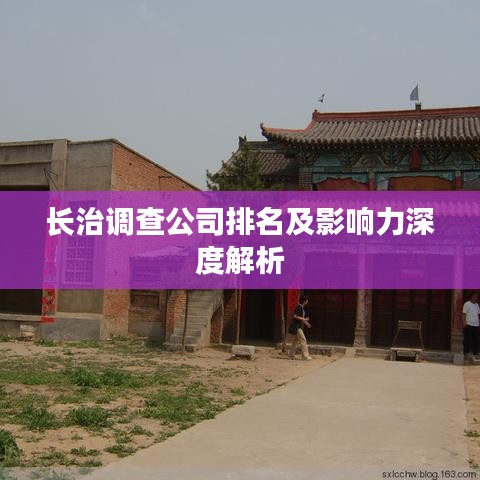 长治调查公司排名及影响力深度解析