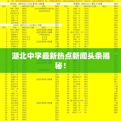 湖北中学最新热点新闻头条揭秘！