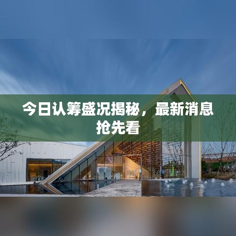 今日认筹盛况揭秘，最新消息抢先看
