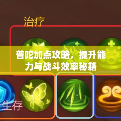 普陀加点攻略，提升能力与战斗效率秘籍