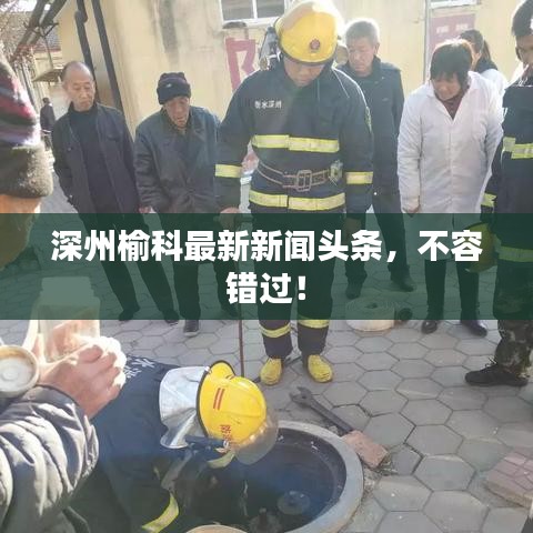 深州榆科最新新闻头条，不容错过！