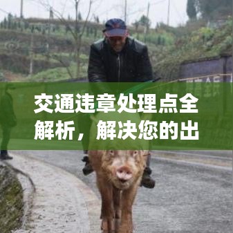交通违章处理点全解析，解决您的出行问题，百度一键查询！