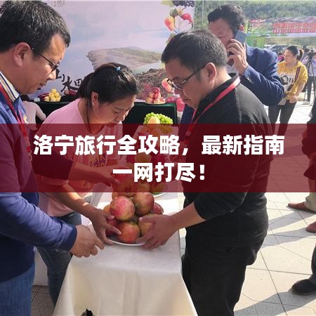 洛宁旅行全攻略，最新指南一网打尽！