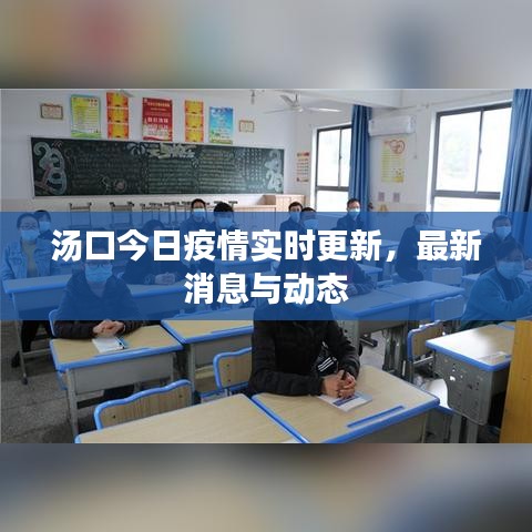 汤口今日疫情实时更新，最新消息与动态