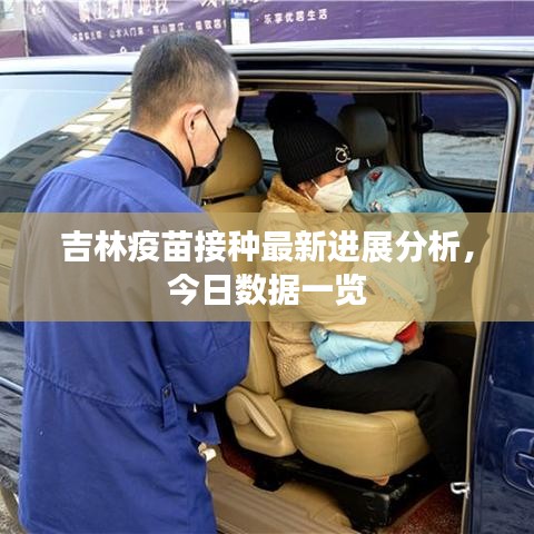 吉林疫苗接种最新进展分析，今日数据一览