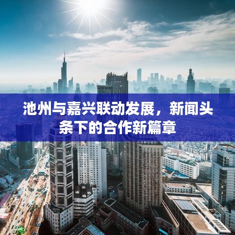 池州与嘉兴联动发展，新闻头条下的合作新篇章