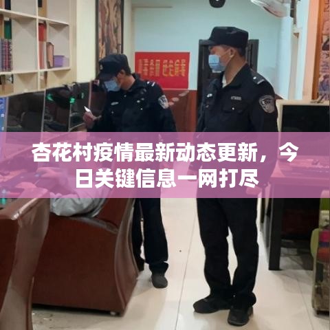 杏花村疫情最新动态更新，今日关键信息一网打尽