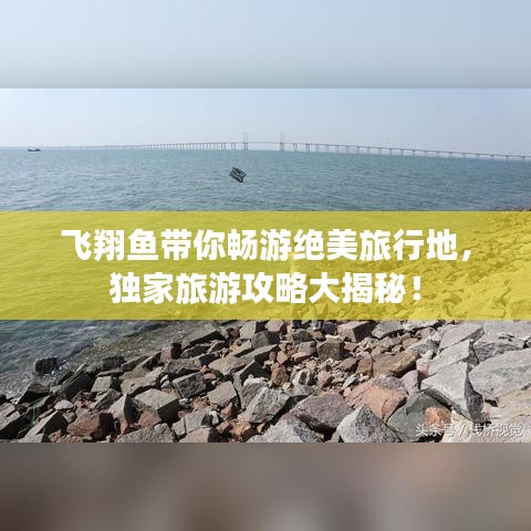 飞翔鱼带你畅游绝美旅行地，独家旅游攻略大揭秘！