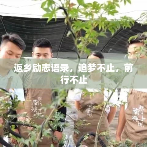 返乡励志语录，追梦不止，前行不止