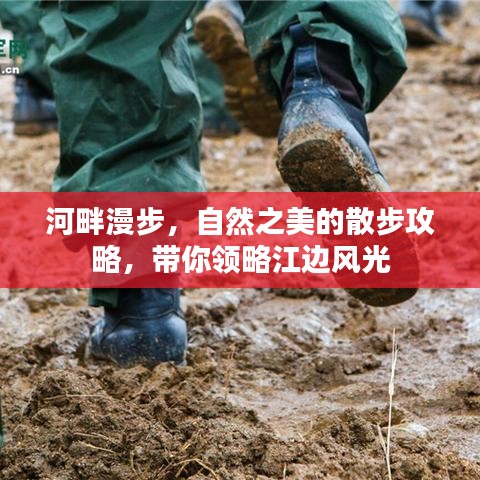 河畔漫步，自然之美的散步攻略，带你领略江边风光
