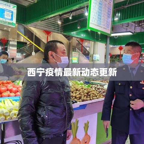 西宁疫情最新动态更新