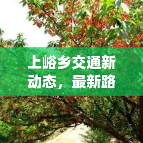 上峪乡交通新动态，最新路况及新闻汇总
