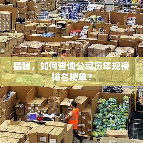 揭秘，如何查询公司历年规模排名榜单？