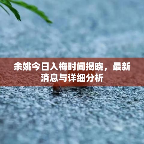 余姚今日入梅时间揭晓，最新消息与详细分析