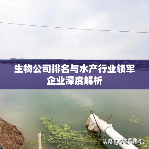 生物公司排名与水产行业领军企业深度解析