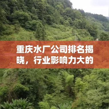 重庆水厂公司排名揭晓，行业影响力大的企业榜单！