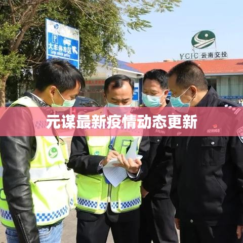 元谋最新疫情动态更新