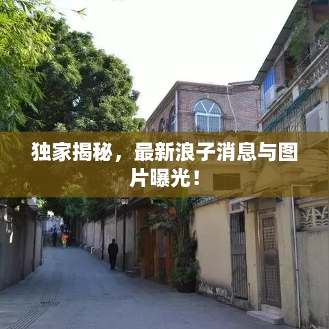 独家揭秘，最新浪子消息与图片曝光！