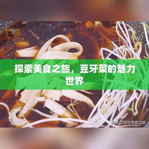 探索美食之旅，豆牙菜的魅力世界