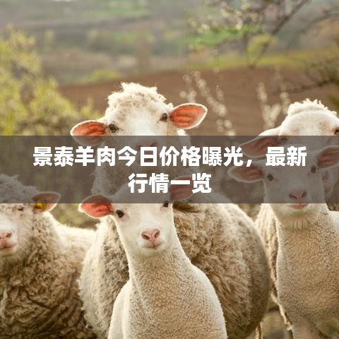 景泰羊肉今日价格曝光，最新行情一览
