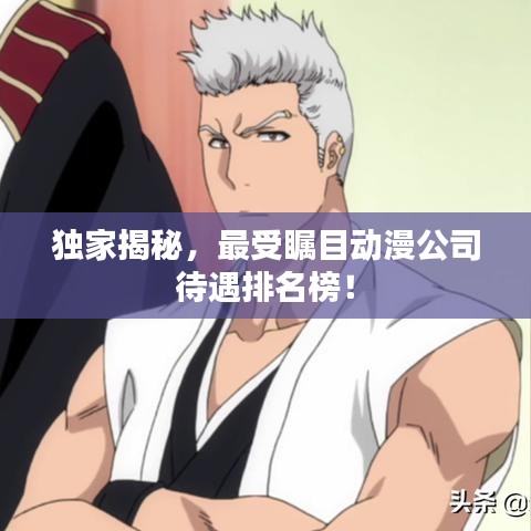 独家揭秘，最受瞩目动漫公司待遇排名榜！