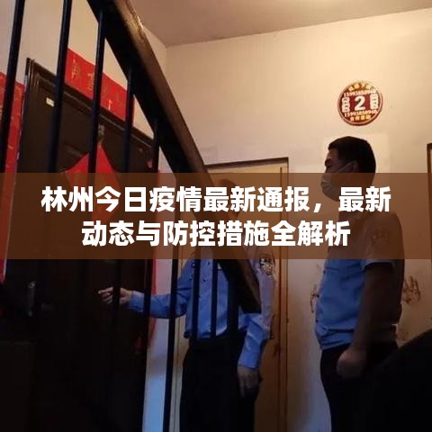 林州今日疫情最新通报，最新动态与防控措施全解析