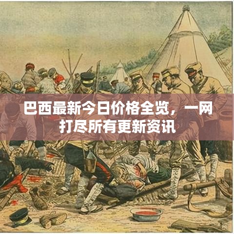 巴西最新今日价格全览，一网打尽所有更新资讯