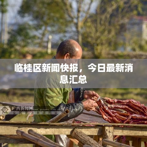 临桂区新闻快报，今日最新消息汇总