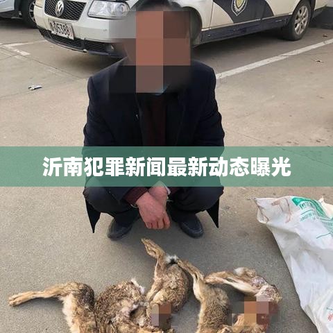 沂南犯罪新闻最新动态曝光