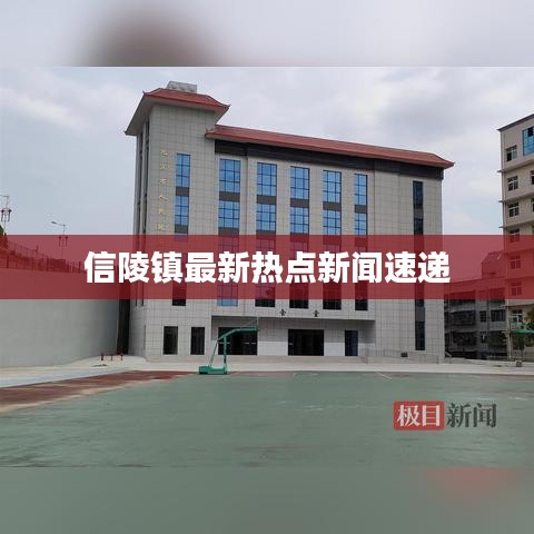 信陵镇最新热点新闻速递