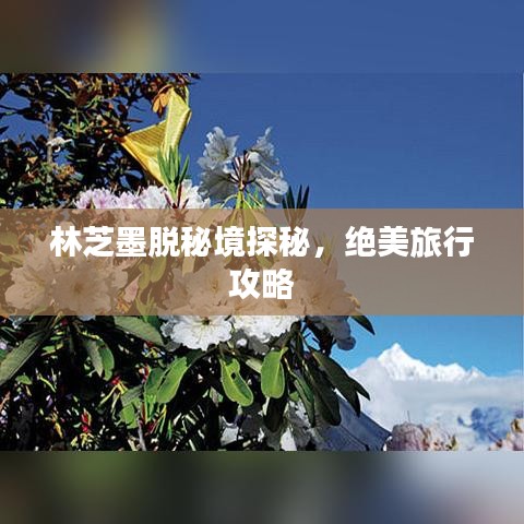 林芝墨脱秘境探秘，绝美旅行攻略