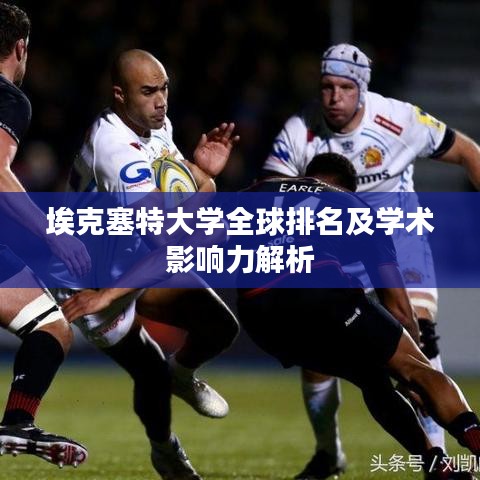埃克塞特大学全球排名及学术影响力解析