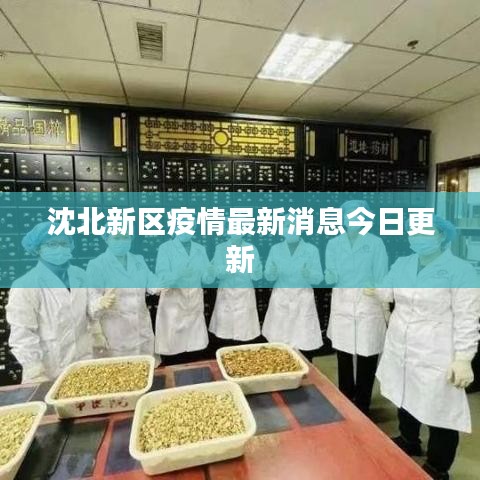 不飞则已