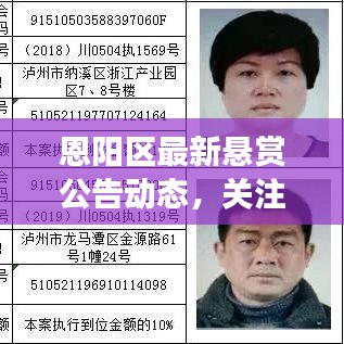 恩阳区最新悬赏公告动态，关注热点事件，掌握最新进展