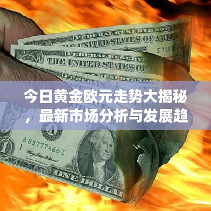 今日黄金欧元走势大揭秘，最新市场分析与发展趋势展望