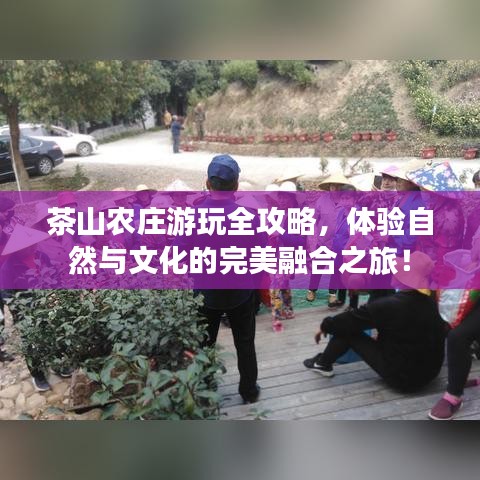 茶山农庄游玩全攻略，体验自然与文化的完美融合之旅！