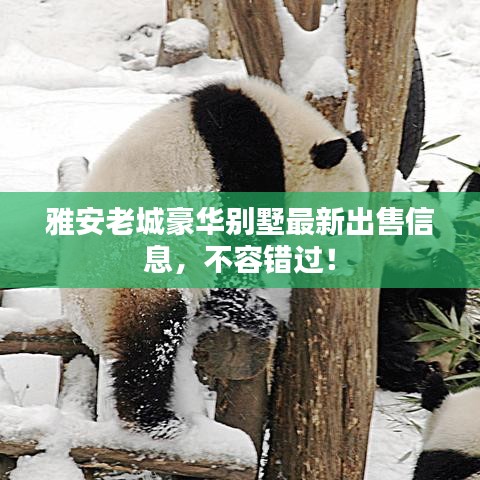 雅安老城豪华别墅最新出售信息，不容错过！