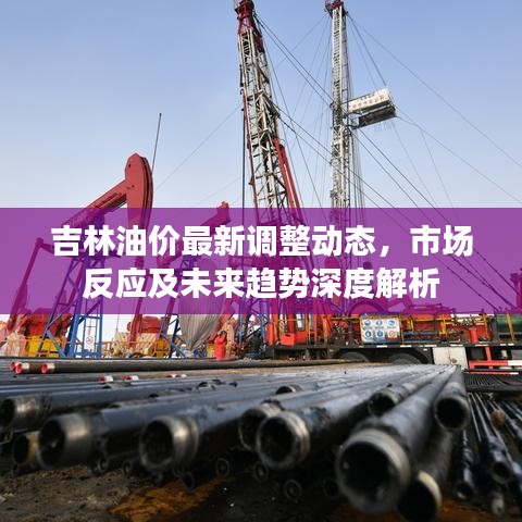 吉林油价最新调整动态，市场反应及未来趋势深度解析