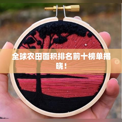 全球农田面积排名前十榜单揭晓！