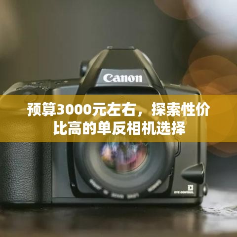 预算3000元左右，探索性价比高的单反相机选择