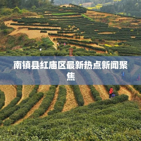 南镇县红庙区最新热点新闻聚焦