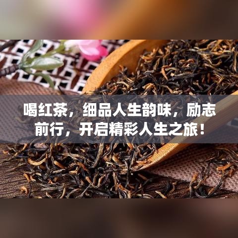 喝红茶，细品人生韵味，励志前行，开启精彩人生之旅！
