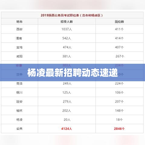 杨凌最新招聘动态速递