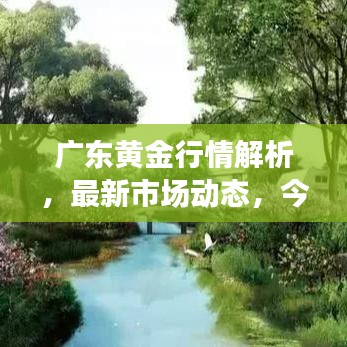广东黄金行情解析，最新市场动态，今日走势一目了然