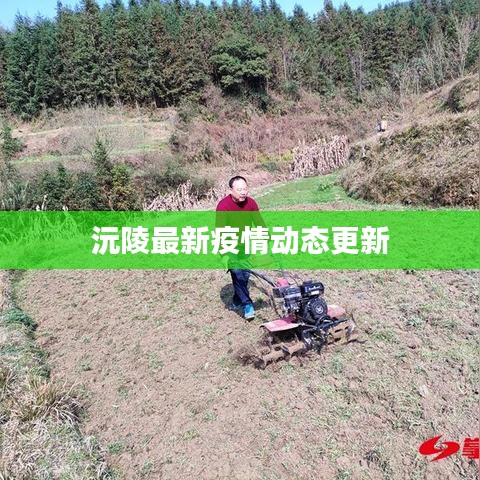 沅陵最新疫情动态更新